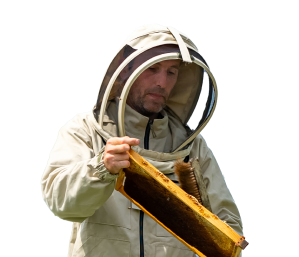 beekeeper