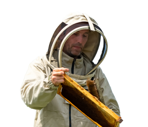 beekeeper