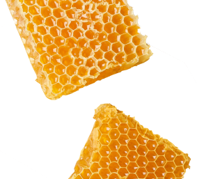 honeycomb