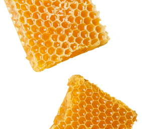 honeycomb